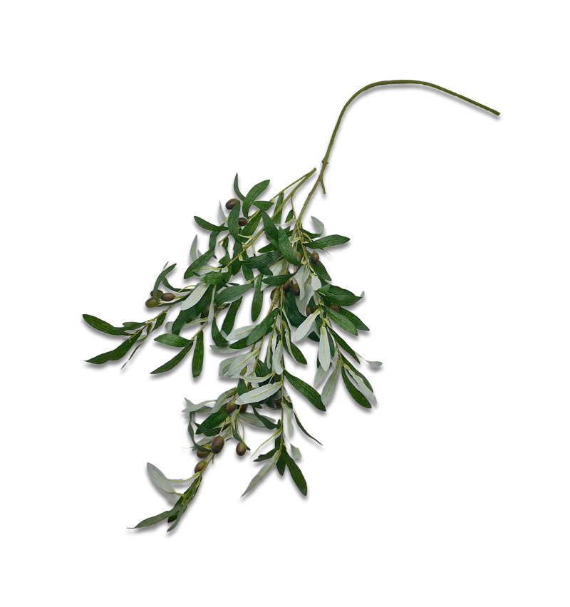 Large Olive Tree Spray