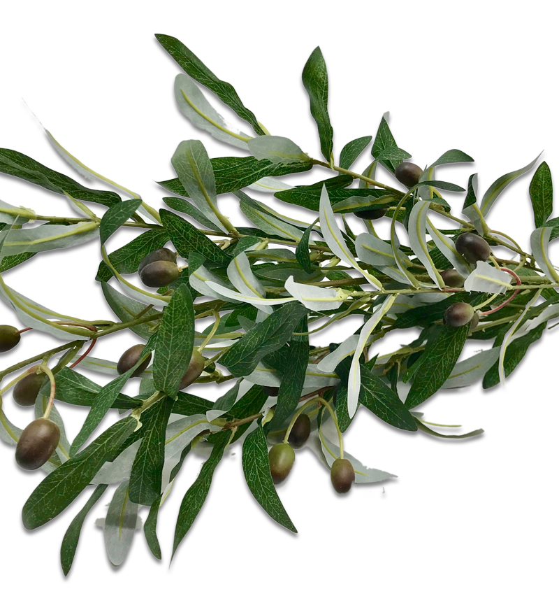Large Olive Tree Spray