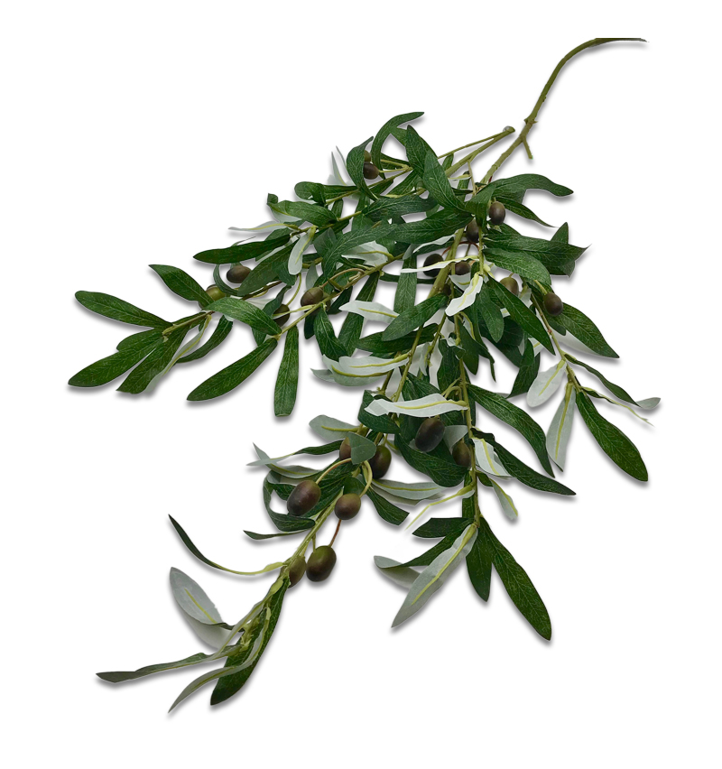 Large Olive Tree Spray