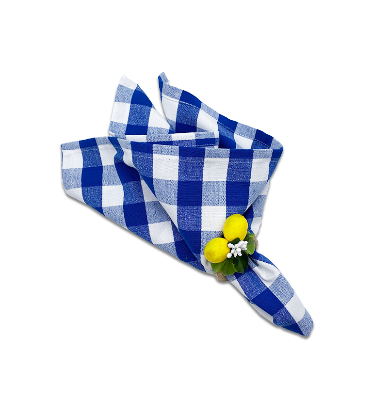 Large Checked Cotton Napkins Blue And White