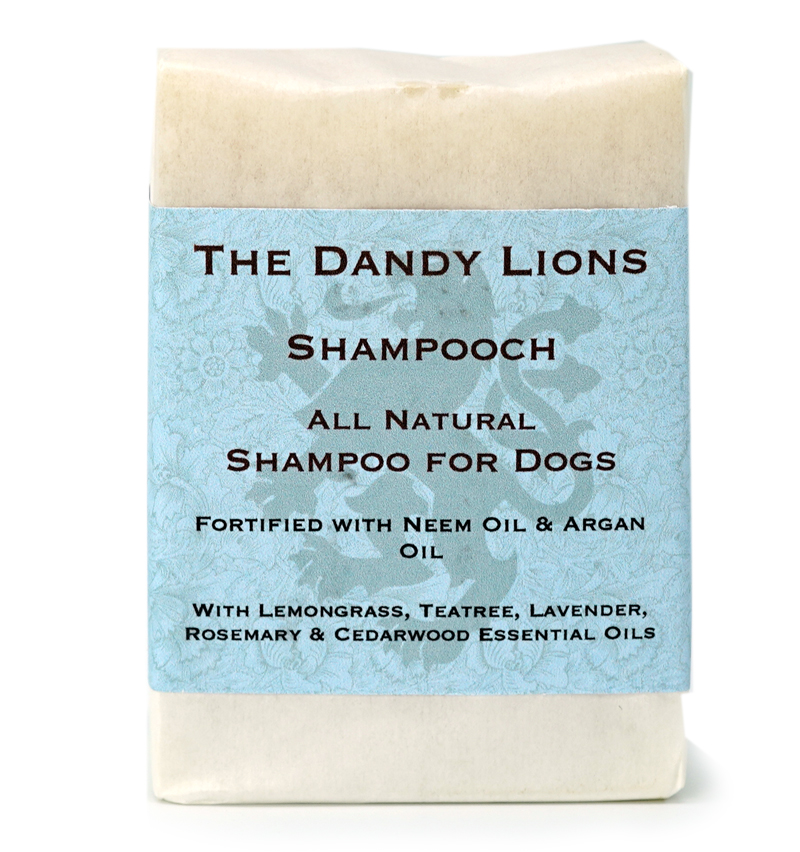 The Dandy Lions Apothecary Shampooch Dog Shampoo Bar